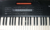 Roland XP 50